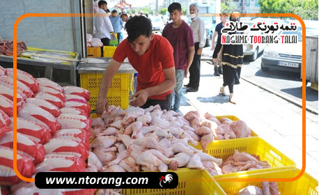قیمت مصوب مرغ در سال 1404 هفته آینده اعلام می‌شود